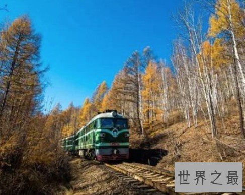 我国最大的天然林区,全区共有森林面积6.8亿亩