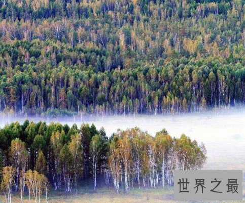 我国最大的天然林区,全区共有森林面积6.8亿亩