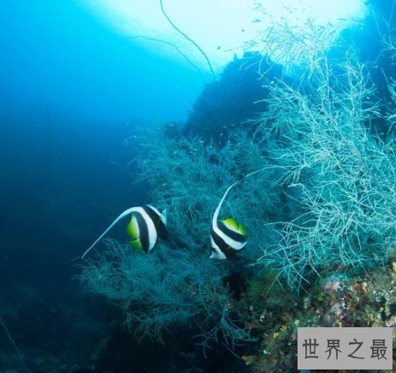 世界上最大的海,梦幻无比,接近半个中国大