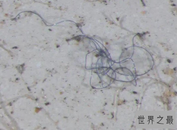 最奇怪的雨水,竟然下起塑料雨,含有九成塑料