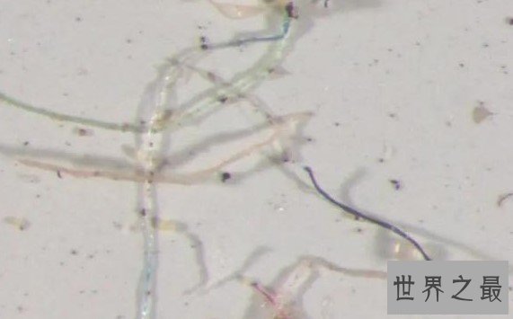 最奇怪的雨水,竟然下起塑料雨,含有九成塑料
