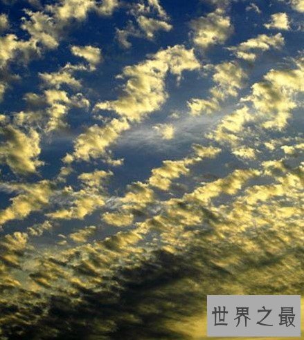 最强云的知识大全,这种云来了请快快逃命!