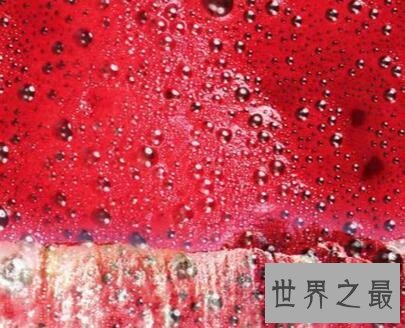 令人恐惧的血瀑布?“鲜血”喷涌而出?
