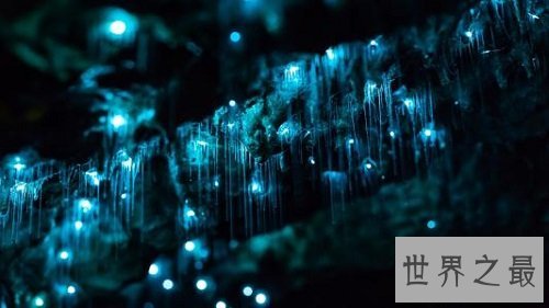 世界上最不可思议的洞穴,琳琅满目、炫彩无比