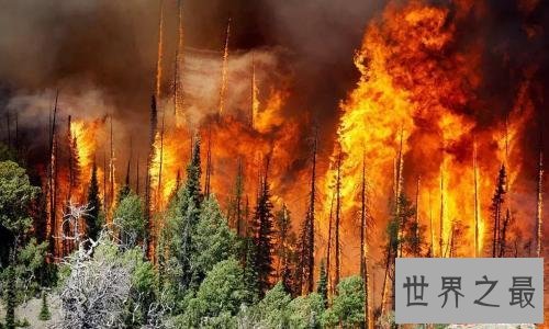 世界十大自然灾害排行,非常可怕的地震竟只排第二!