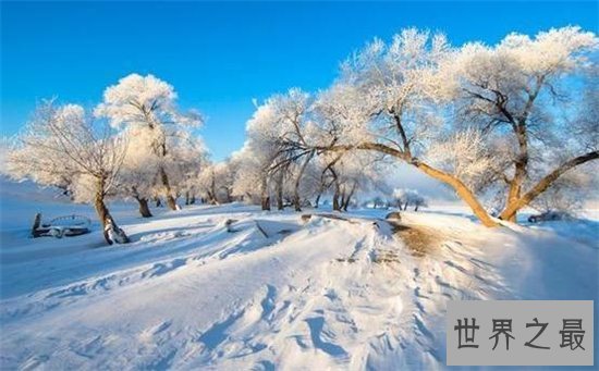 中国最冷的地方在根河市,这里曾测出零下58度的低温
