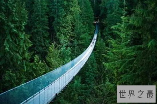 世界上令人惊叹的十个地方,卡皮拉诺吊桥绝对挑战你的极限