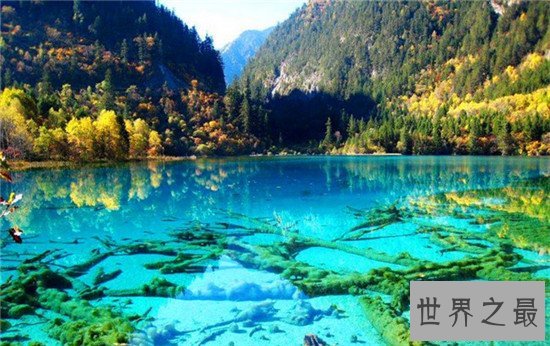 世界上令人惊叹的十个地方,卡皮拉诺吊桥绝对挑战你的极限
