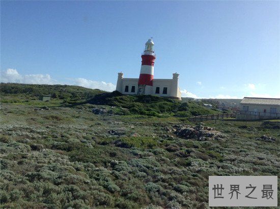 世界十大最极端的地方,在死海游泳不会沉下去