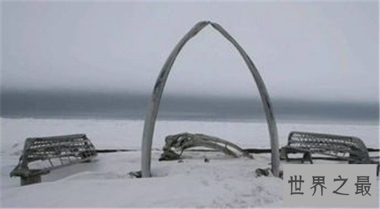 世界十大最极端的地方,在死海游泳不会沉下去