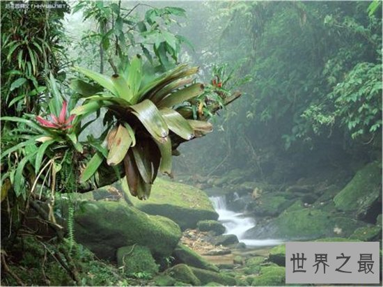 世界上雨量最多的国家,这个国家的降水是真多!