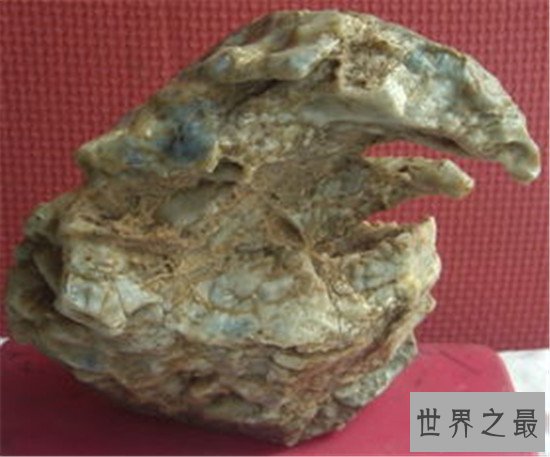 中国四大奇石,东坡肉形石真的像一块肉