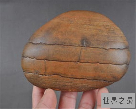 中国四大奇石,东坡肉形石真的像一块肉