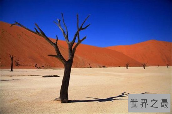 世界上最高的沙丘,325米的沙丘你见过吗?