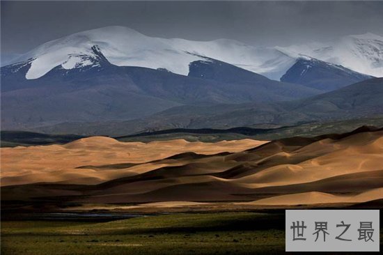 中国四大无人区,可可西里是藏羚羊生存的天堂