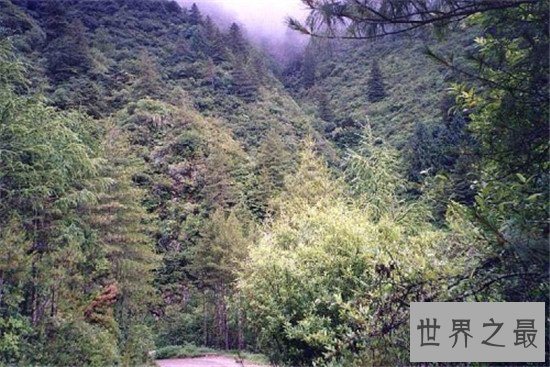 世界最大的海湾,没想到竟然是孟加拉湾