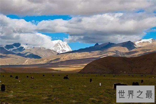 柴达木盆地海拔2600-3000,具有丰富资源是聚宝盆