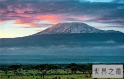 世界十大最美丽的山峰排行榜，富士山上的樱花了观赏一下吗