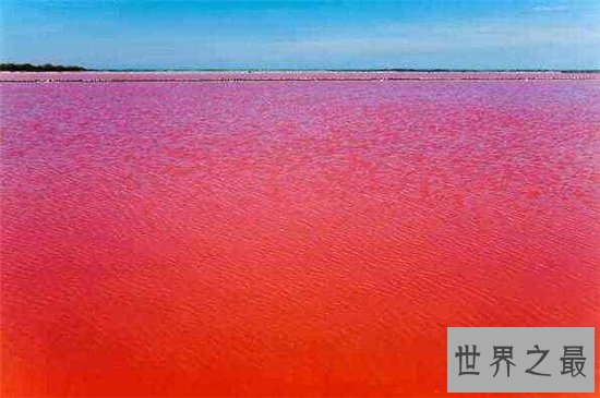 伊拉克血湖颜色与众不同，原因竟与垃圾污染有关