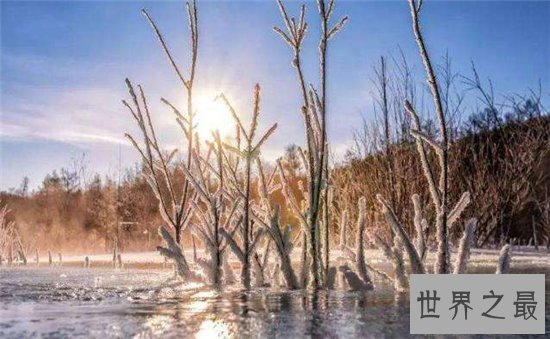 姆潘巴现象被指不靠谱，却有教授研究是真实存在的