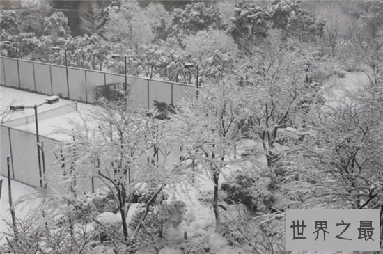 千年极寒影响着人们生活，明末年间地球遭遇冰河期