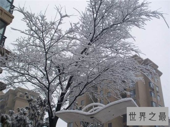 千年极寒影响着人们生活，明末年间地球遭遇冰河期