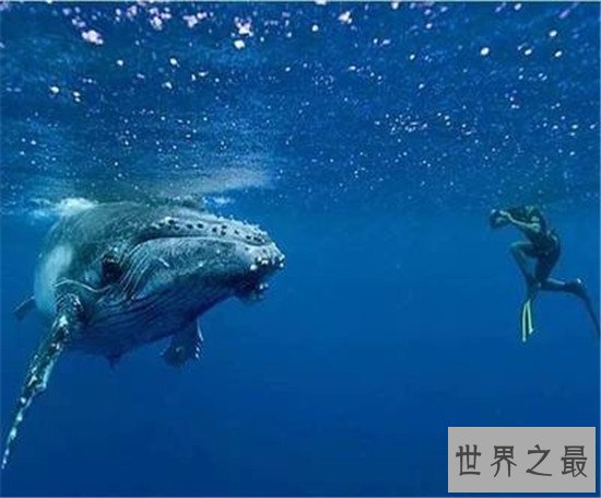 全球最佳的十处天然浴池，简直就最佳的放松美景天堂