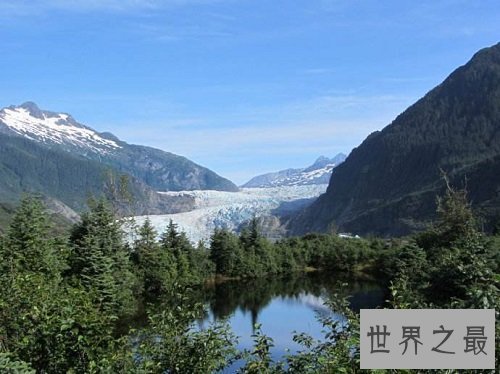 世界上最古老的十大原始森林，远古树林与生物的聚居地