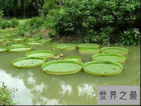 中国十大森林氧吧大盘点，我们组队去吸氧吧！