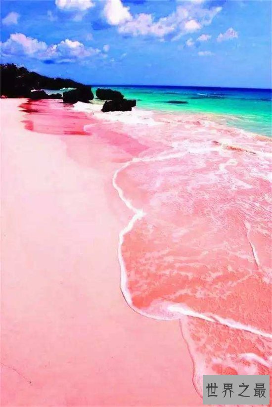巴哈马粉色沙滩，由天然生物形成适合春秋前往度假