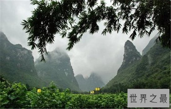 广西4a景点排名，梯田也能算作风景吗？