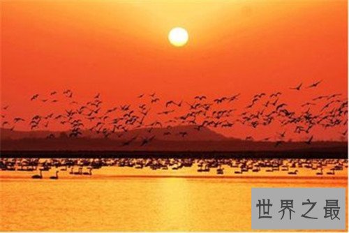 我国五大淡水湖巢湖最小常被忽视,但形状酷似爱心