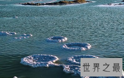 中国四大无人区都在哪？体验最原生态的野性之美！