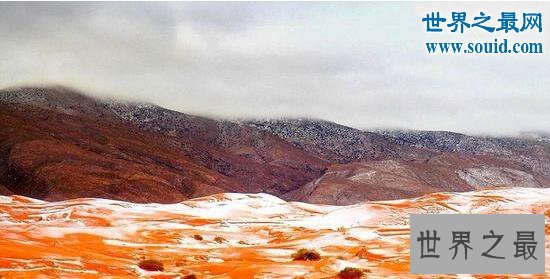 全球最热撒哈拉沙漠下雪了,有生之年的奇迹