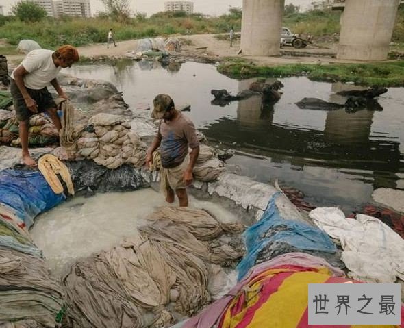 世界上最肮脏的城市,印度德里(全部被污染)