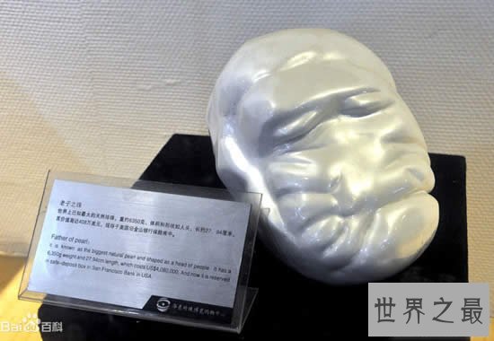 世界上最大的珍珠,老子之珠(如人脑一般大)
