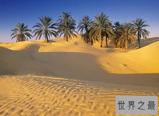 世界最大的沙漠,撒哈拉沙漠(960万平方千米)