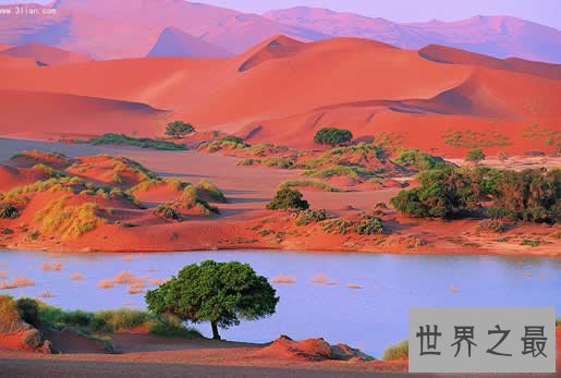 世界最大的沙漠,撒哈拉沙漠(960万平方千米)