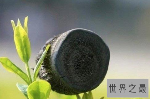 世界上最轻材料,每立方厘米的重量仅仅是0.16毫克