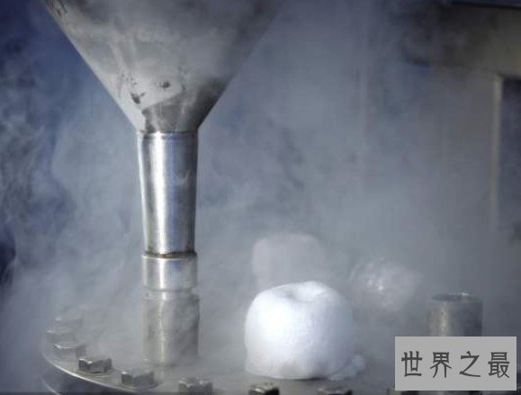 史上第一个解冻人,被冰封50年