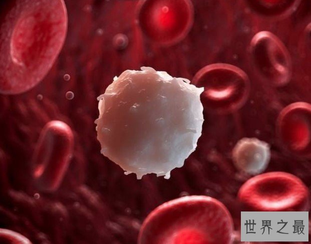 世界第一款人造血液来袭,适合任何血型,可保存一年以上