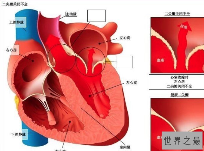 最强3D打印技术,首次制造“迷你人类心脏”