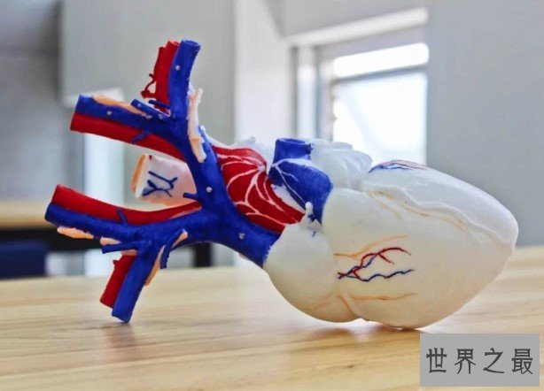 最强3D打印技术,首次制造“迷你人类心脏”