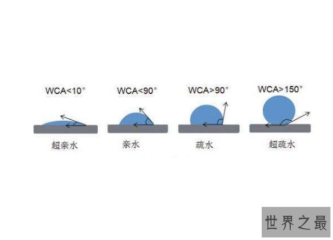 科学家打造最新超疏水材料,灵感来自可爱的河豚