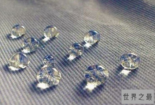 科学家打造最新超疏水材料,灵感来自可爱的河豚