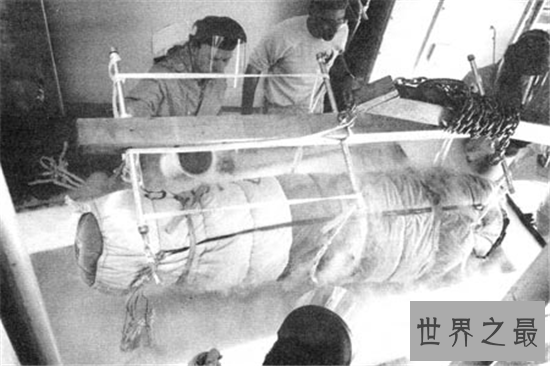 世界首例冷冻人,2017年詹姆斯·贝德福复活(图片)