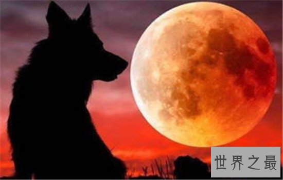 十大科技事件,人类首张月球背影像图是真的还是假的?