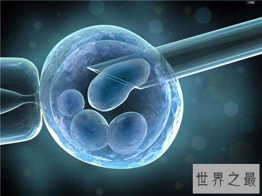 试管婴儿虽是不孕症的救星,但费用昂贵无力承担