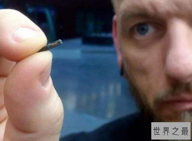 世界上最科技的减肥芯片,再也不用担心自己肥胖了