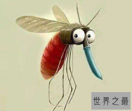 最有效的灭蚊剂即将诞生,在岛上消灭了侵入性最强的亚洲虎蚊